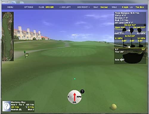 P3ProSwing Grasstop Golf Simulator & Swing Analyzer, Green, One Size